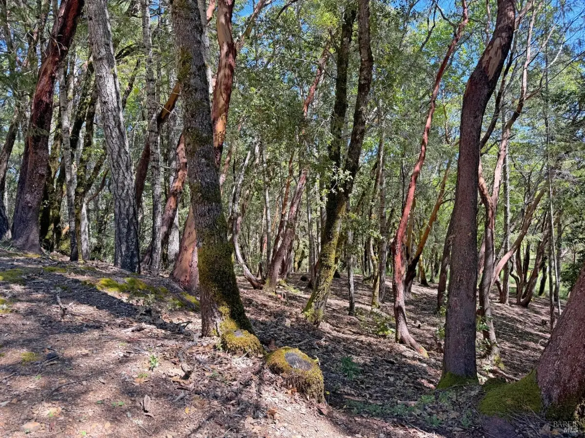 2076 Buckeye Road, Willits, CA 95490 - #1