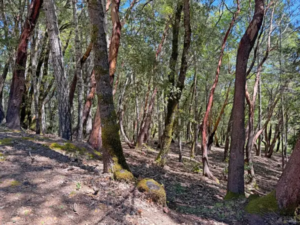 2076 Buckeye Road, Willits, CA 95490