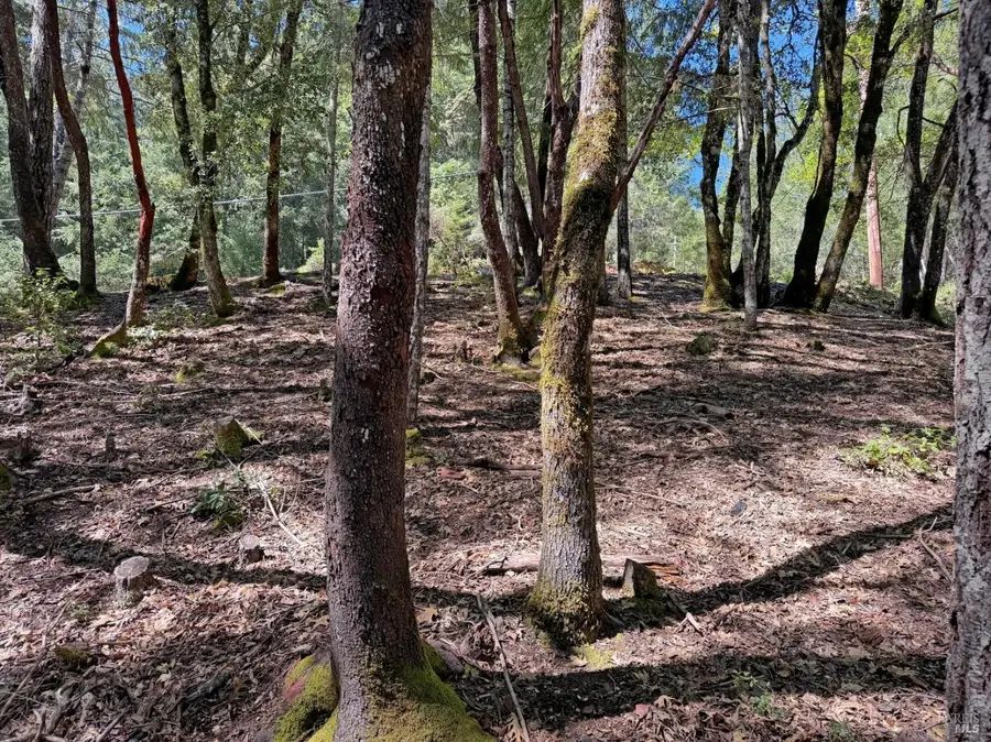 2076 Buckeye Road, Willits, CA 95490 - #2