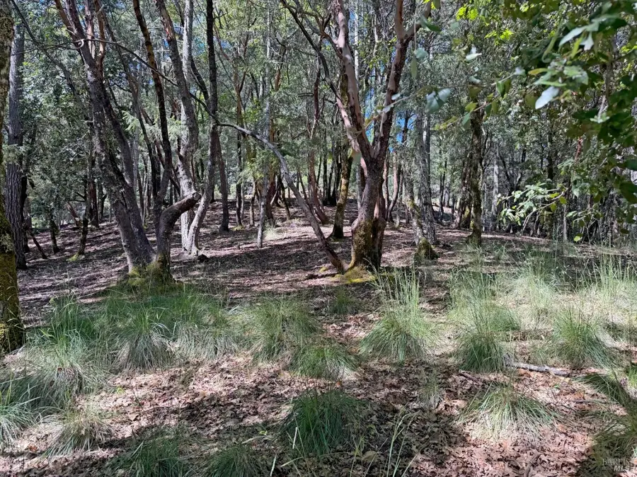 2076 Buckeye Road, Willits, CA 95490 - #3