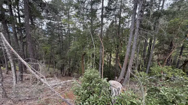 25648 Madrone Drive, Willits, CA 95490