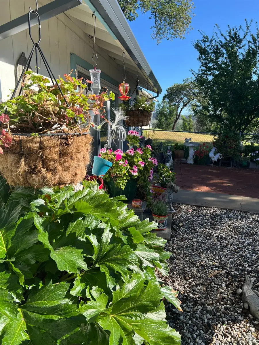 10180 Highway 29, Lower Lake, CA 95457 - #2