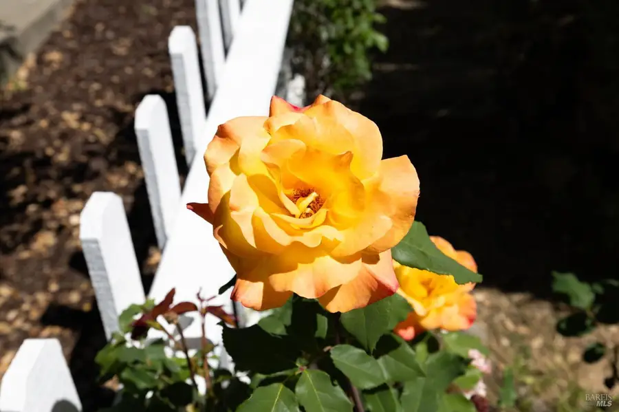 1440 Tammy Way, Santa Rosa, CA 95401 - #3