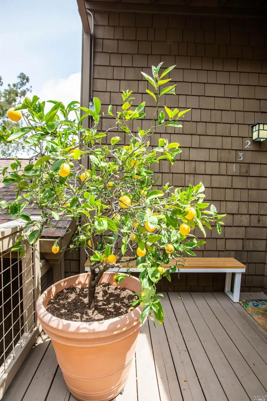 132 Tiburon Boulevard, San Rafael, CA 94901 - #3