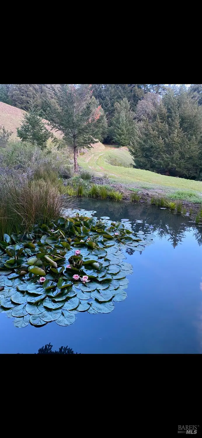 1701 Etter Ranch Road, Garberville, CA 95542 - #2