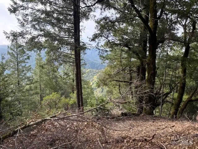 17707 Rockpile Road, Geyserville, CA 95441 - #3