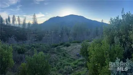 16789 Starview Loop, Cobb, CA 95426 - #1