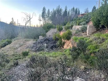 16789 Starview Loop, Cobb, CA 95426 - #2