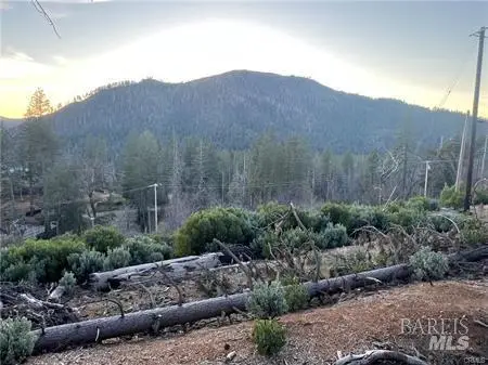 16710 Starview Loop, Cobb, CA 95426 - #1