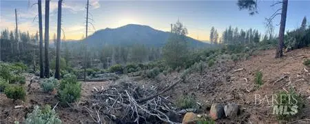 16790 Starview Loop, Cobb, CA 95426 - #2