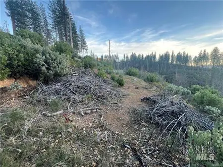 16790 Starview Loop, Cobb, CA 95426 - #3