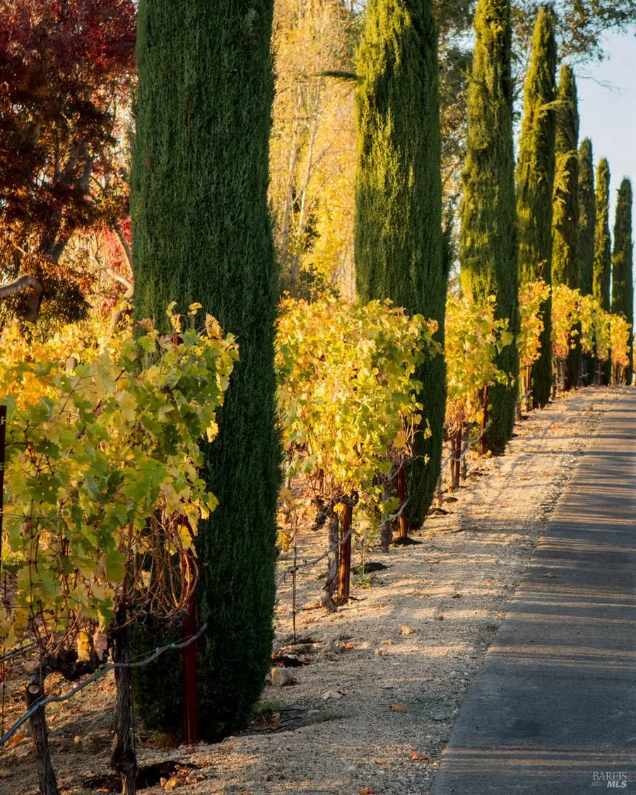 1096 Hardman Avenue, Napa, CA 94558 - #3