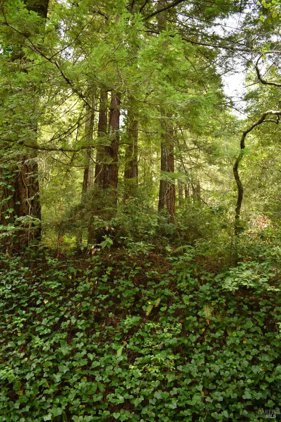 0 Old Monte Rio Road, Guerneville, CA 95446 - #2