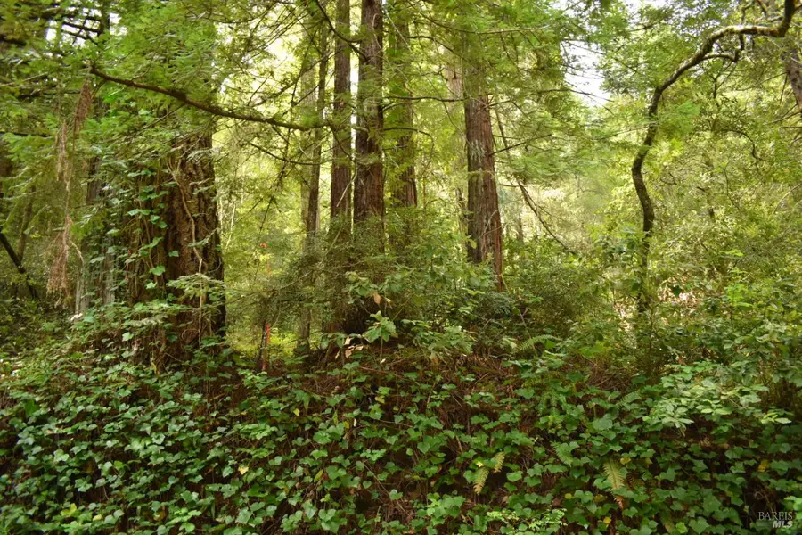 0 Old Monte Rio Road, Guerneville, CA 95446 - #3