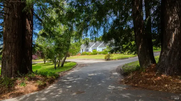 8099 Yule Tree Lane, Sebastopol, CA 95472