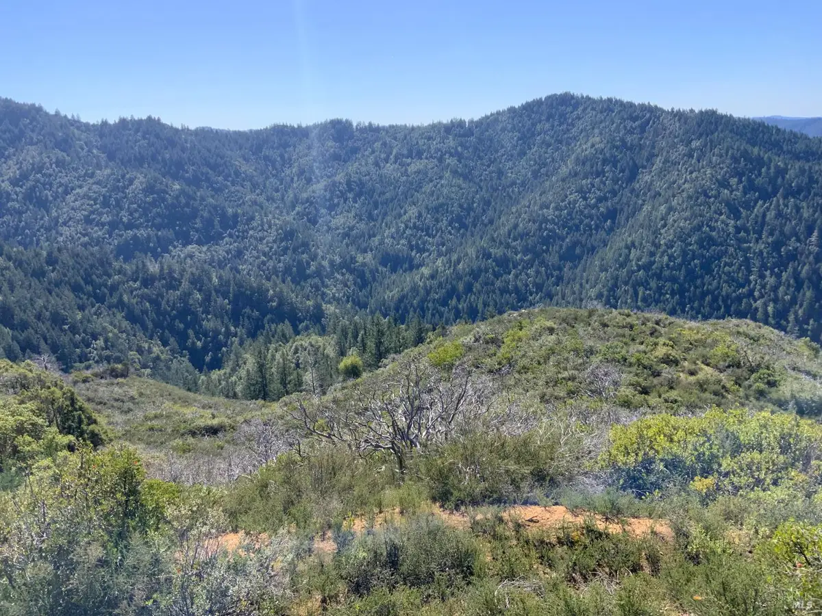 10225 Low Gap Road, Ukiah, CA 95482 - #1