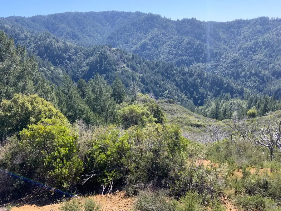 10225 Low Gap Road, Ukiah, CA 95482 - #2