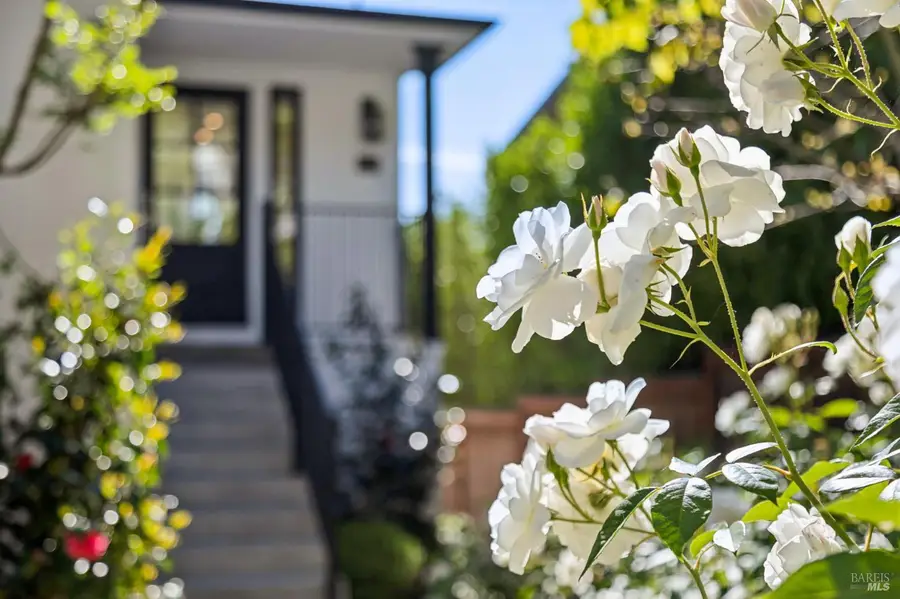 31 Alvarado Avenue, Mill Valley, CA 94941 - #3
