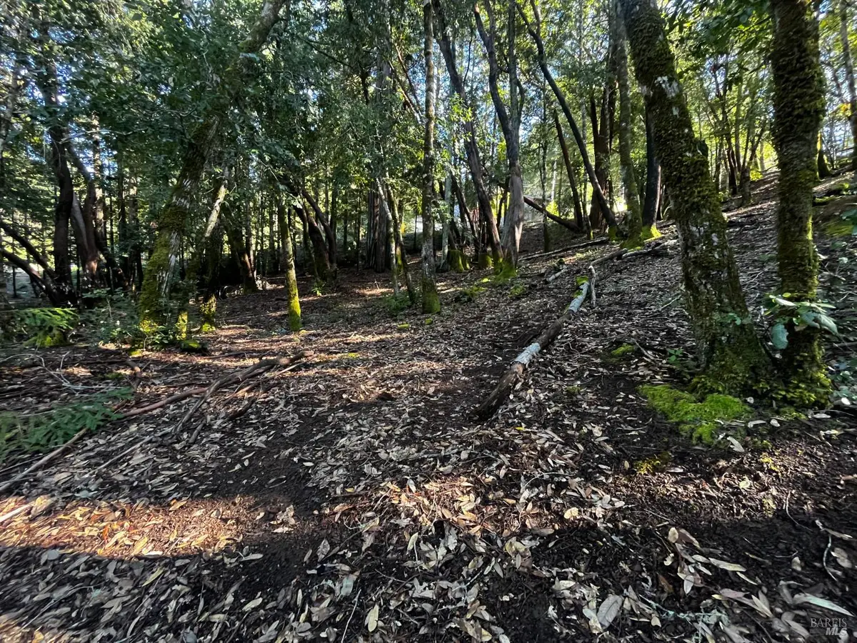 24278 Tulip Drive, Willits, CA 95490 - #1