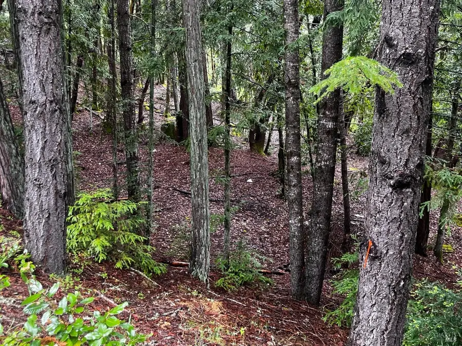 24278 Tulip Drive, Willits, CA 95490 - #2