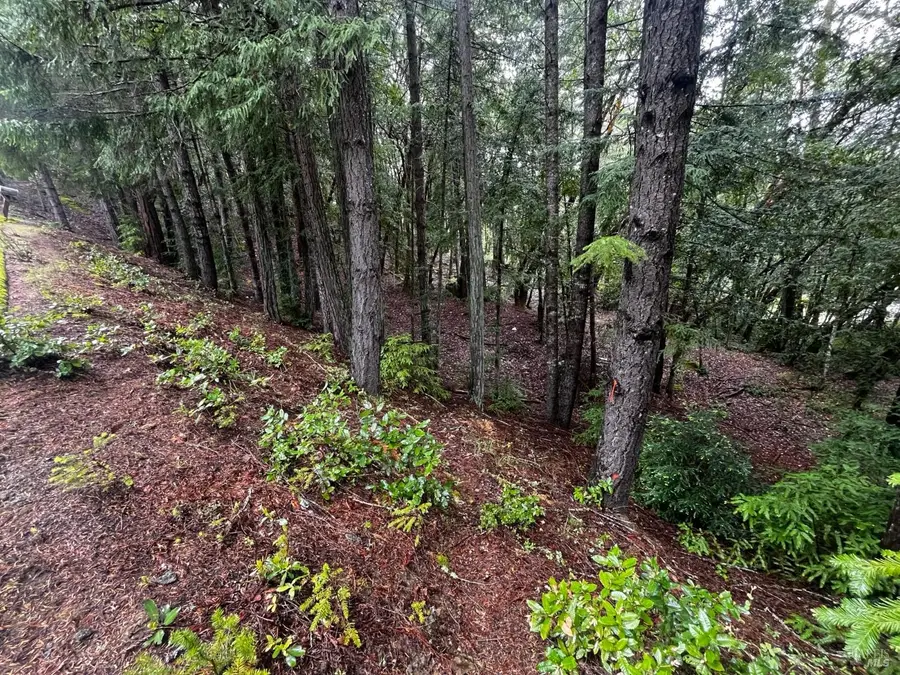 24278 Tulip Drive, Willits, CA 95490 - #3