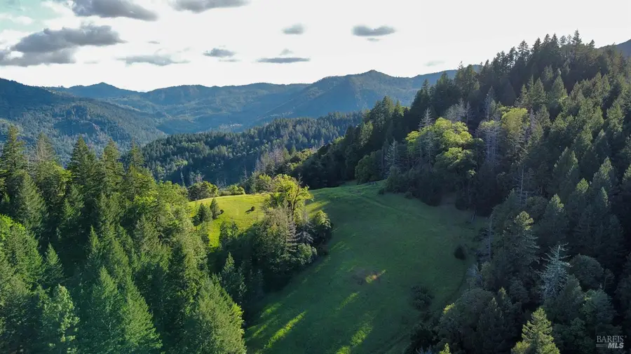 8735 Woodman Creek Road, Laytonville, CA 95454 - #3