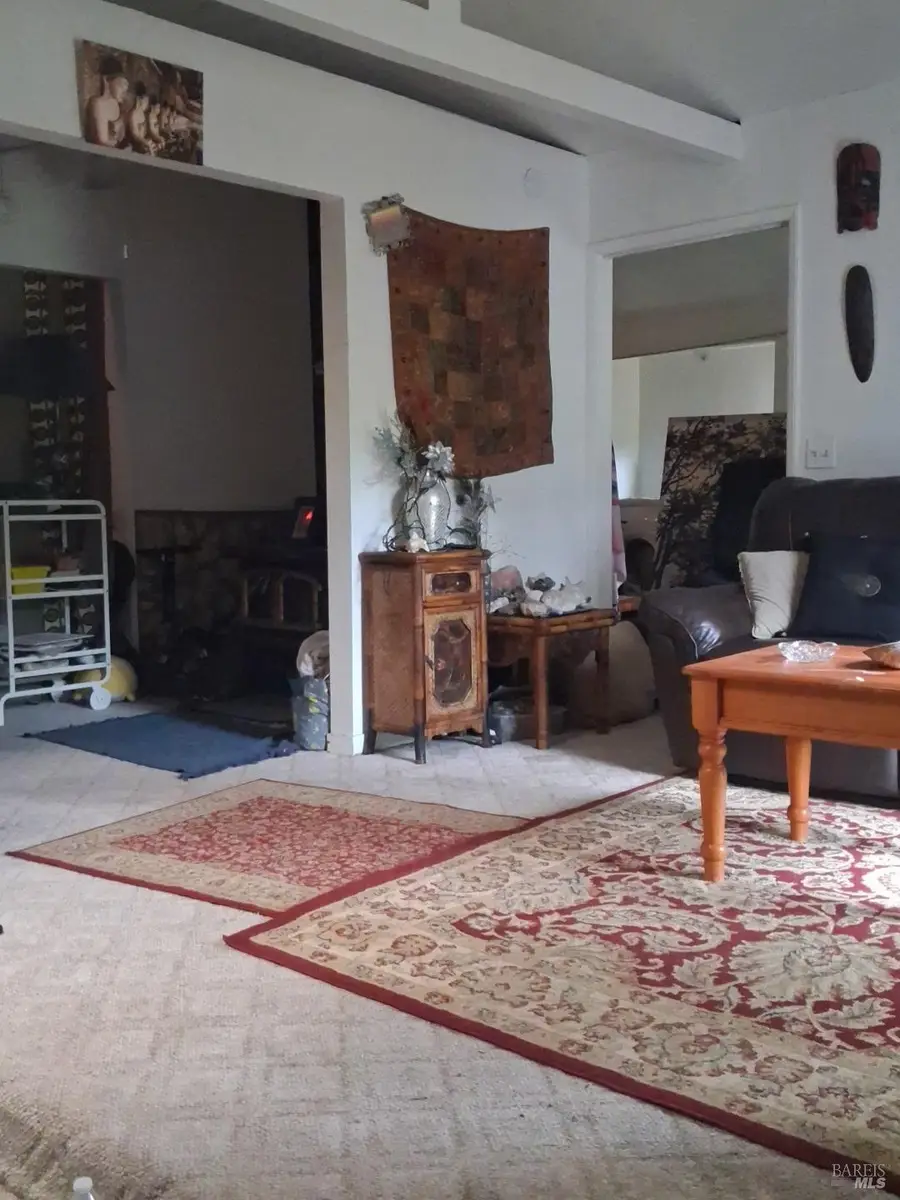 10113 Field Lane, Forestville, CA 95436 - #2