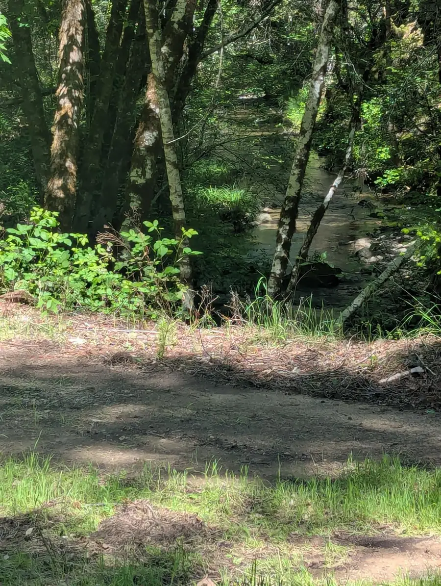 0 Skaggs Springs Road, Geyserville, CA 95441 - #2