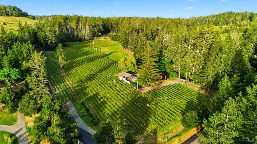 425 Cold Springs Road, Angwin, CA 94508 - #2