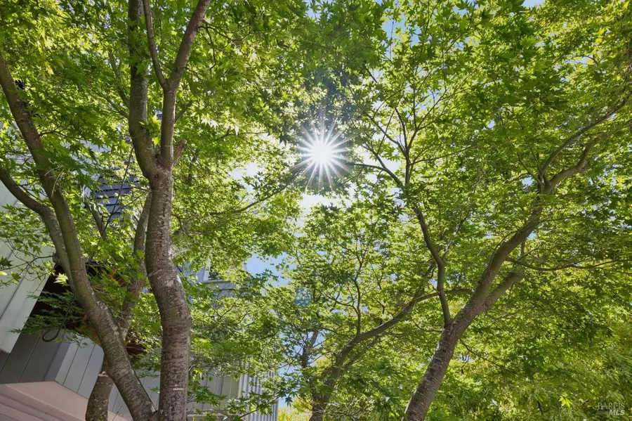 9 Greenside Way, San Rafael, CA 94901 - #2