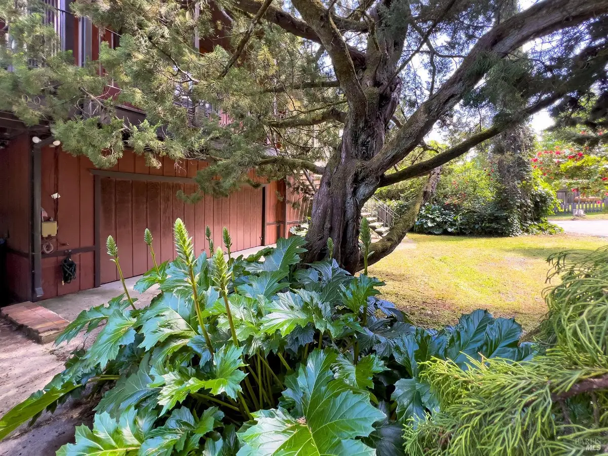 14600 Drake Road, Guerneville, CA 95446 - #1