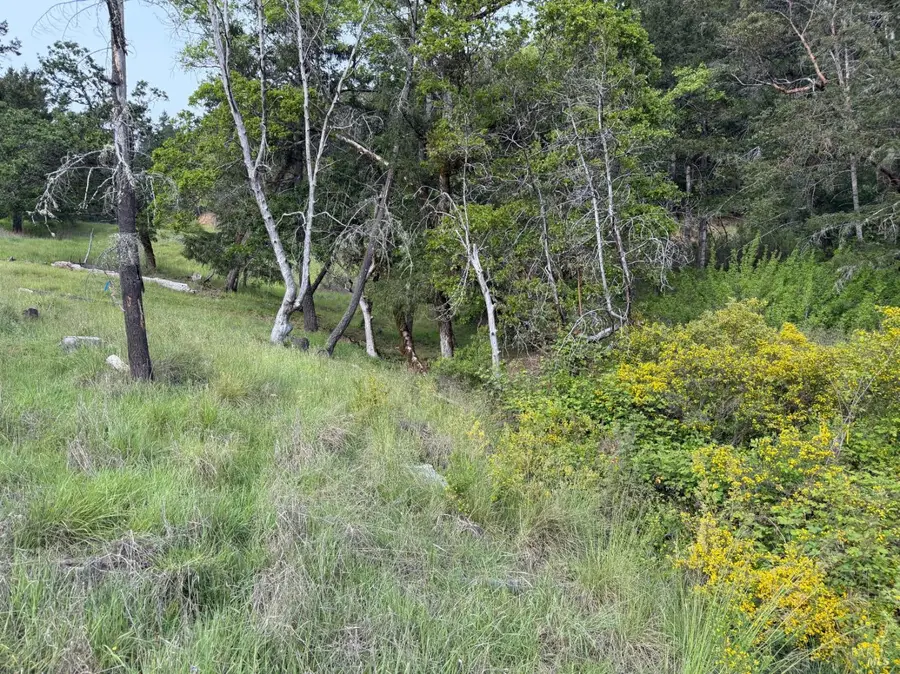 25411 Madrone Drive, Willits, CA 95490 - #2