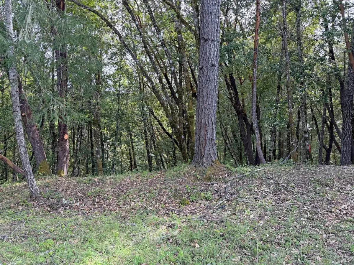 25380 Sherwood Road, Willits, CA 95490 - #1