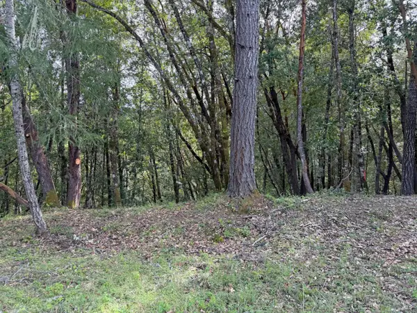 25380 Sherwood Road, Willits, CA 95490