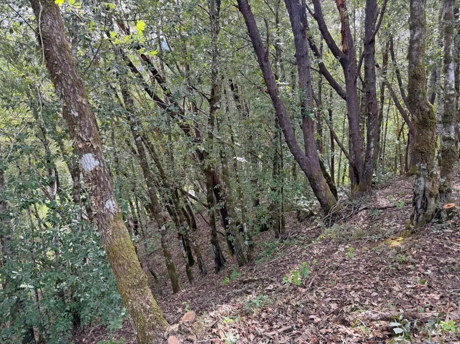 25380 Sherwood Road, Willits, CA 95490 - #2