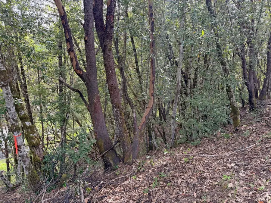 25380 Sherwood Road, Willits, CA 95490 - #3