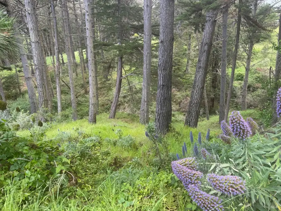389 Ocean Parkway, Bolinas, CA 94924 - #3