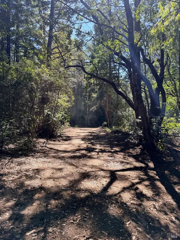 45400 Bill Owens Road, Point Arena, CA 95468