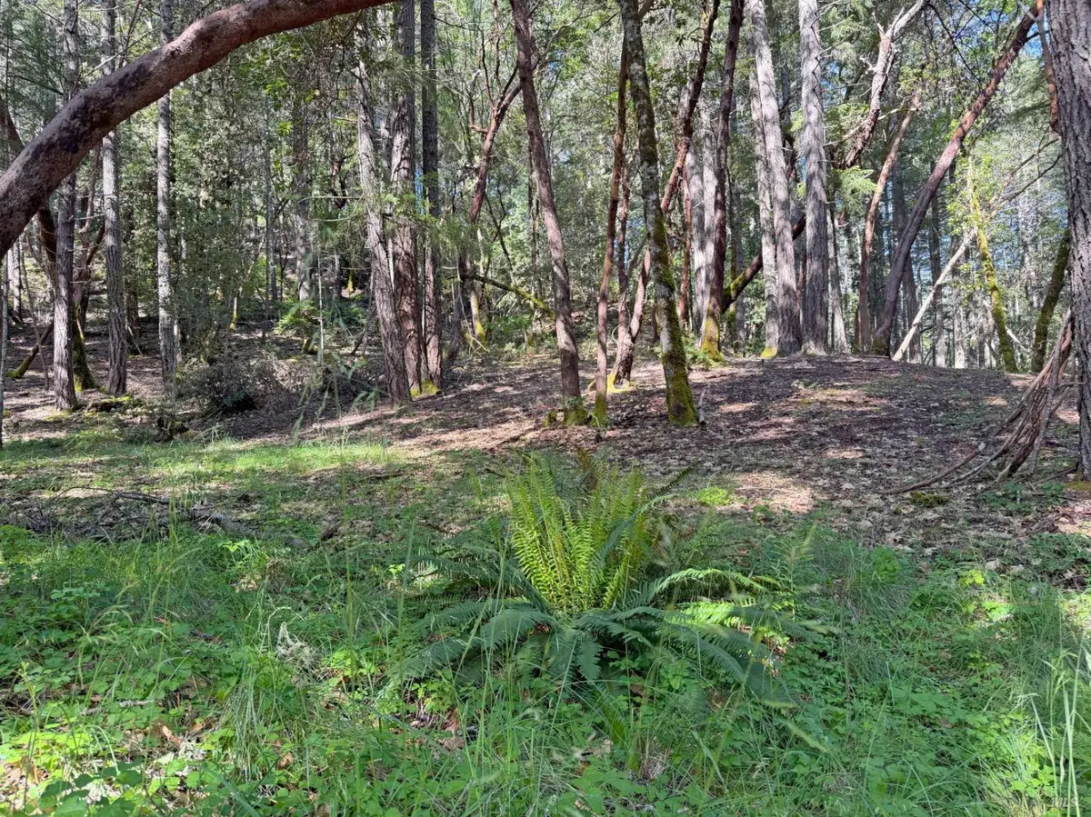 1666 Alcott Place, Willits, CA 95490 - #1