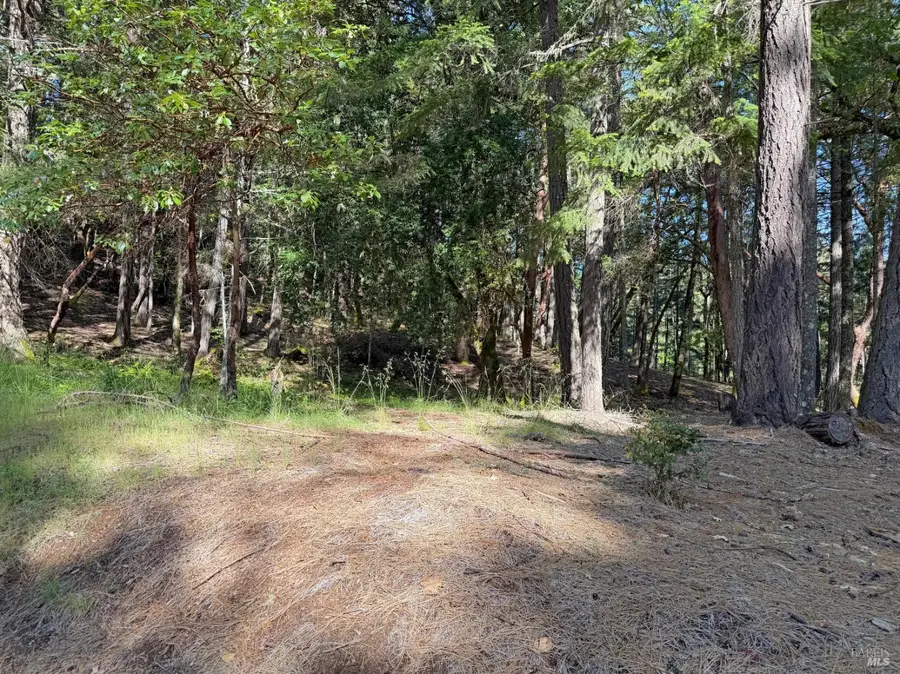 1666 Alcott Place, Willits, CA 95490 - #3