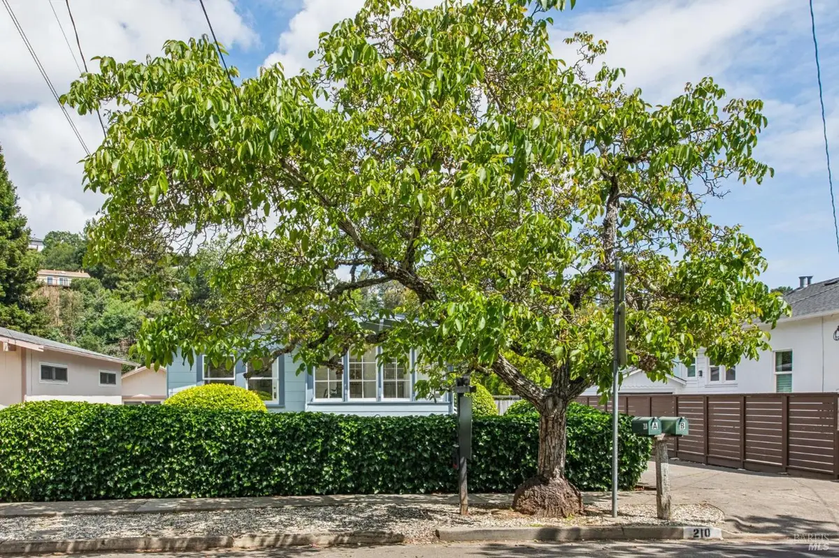 210 Greenfield Avenue, San Rafael, CA 94901 - #1