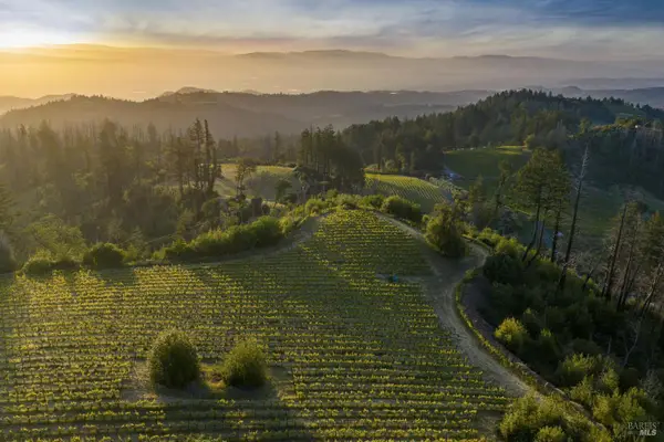 3801 Mount Veeder Road Road, Napa, CA 94558