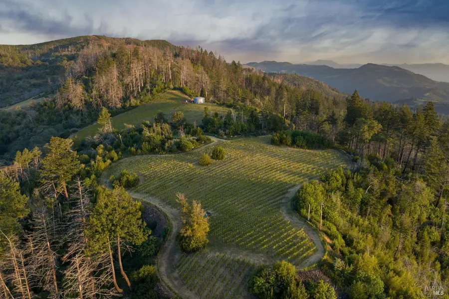 3801 Mount Veeder Road Road, Napa, CA 94558 - #2