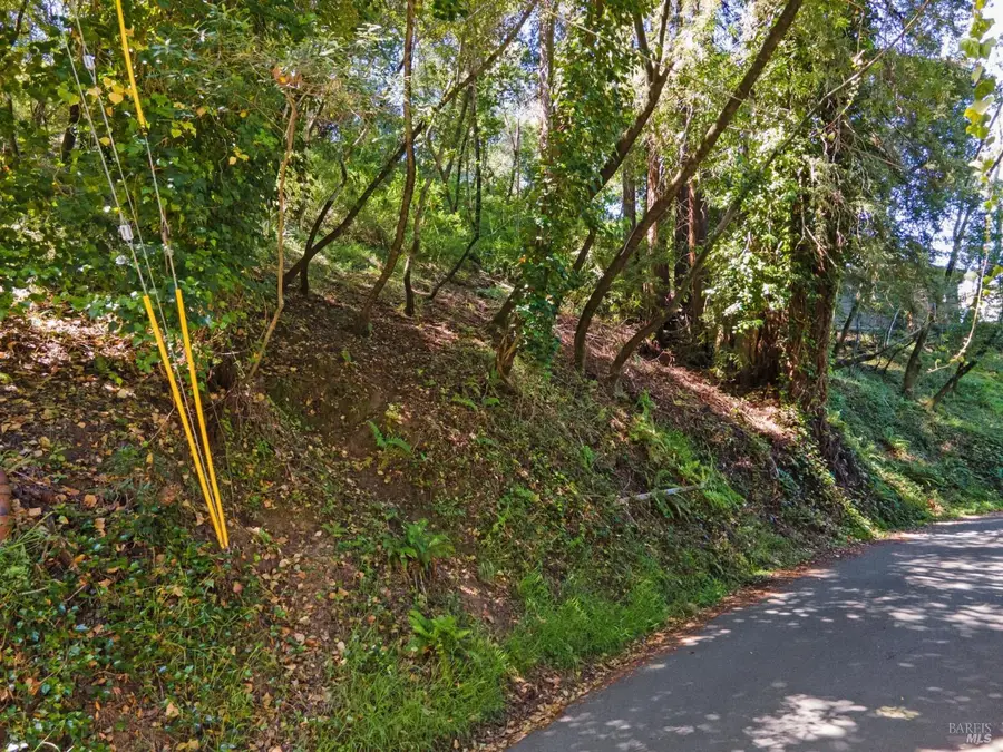 160 Spring Grove Avenue, San Anselmo, CA 94960 - #2