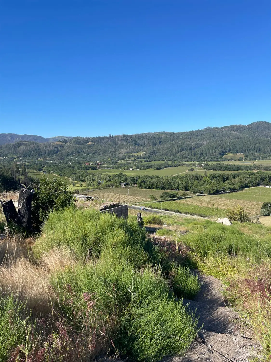 3500 Silverado Trail N, Saint Helena, CA 94574 - #1