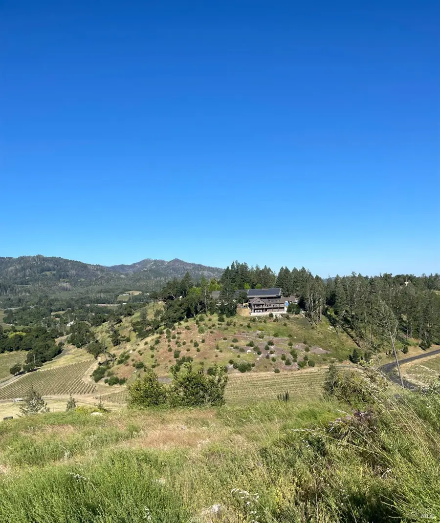 3500 Silverado Trail N, Saint Helena, CA 94574 - #2
