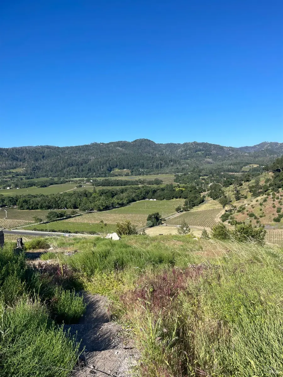 3500 Silverado Trail N, Saint Helena, CA 94574 - #3