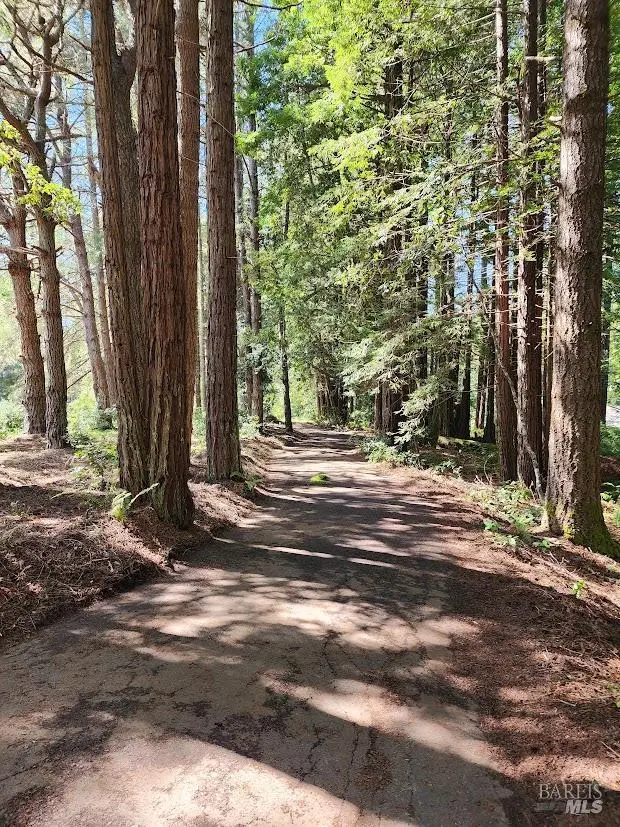 481 Drovers, The Sea Ranch, CA 95497 - #3