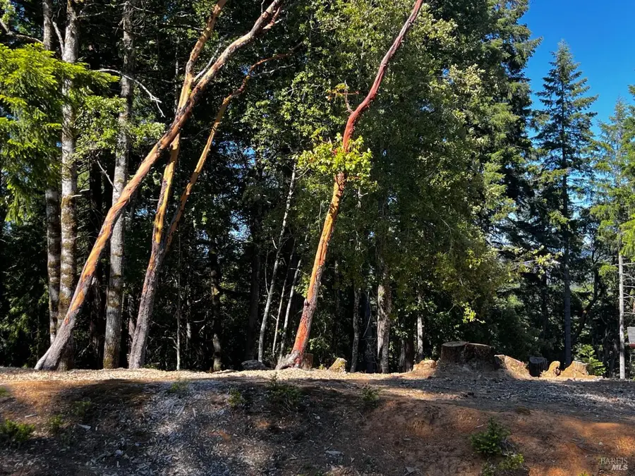 2374 Goose Road, Willits, CA 95490 - #2