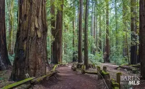 4290 Cazadero Highway, Cazadero, CA 95421 - #2